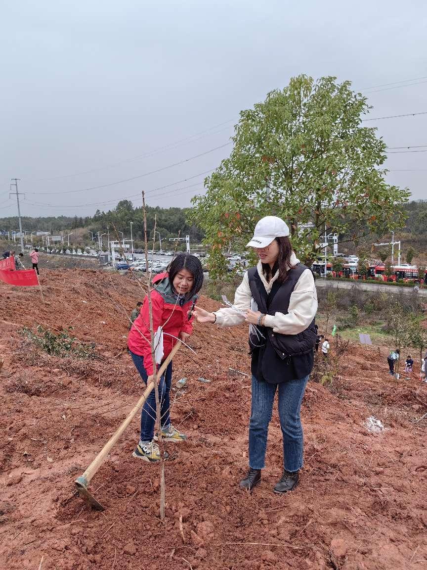区住建局参加"3.12"全民义务植树活动
