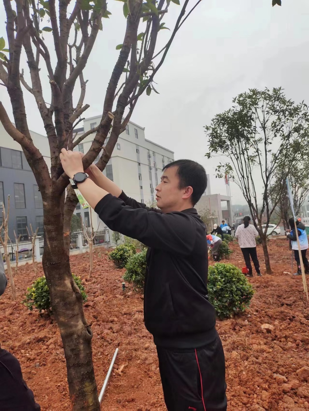 春来添新绿 不负好时光  区机关事务服务中心参加植树节活动