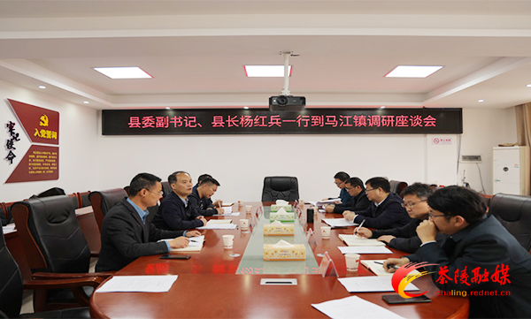 杨红兵到马江镇调研督导工作