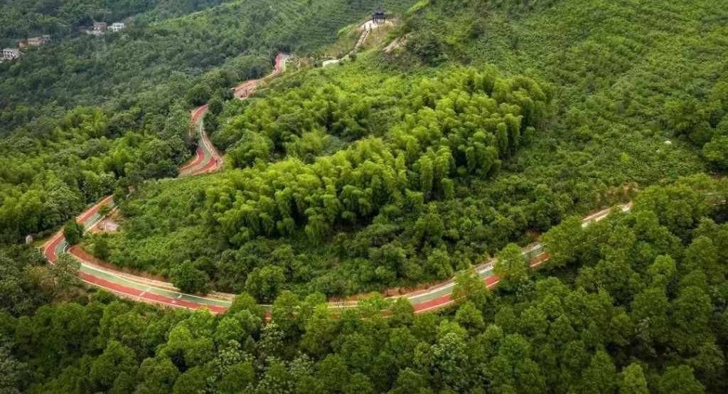 这里很石峰 | 体验“森”呼吸，感受“林”距离