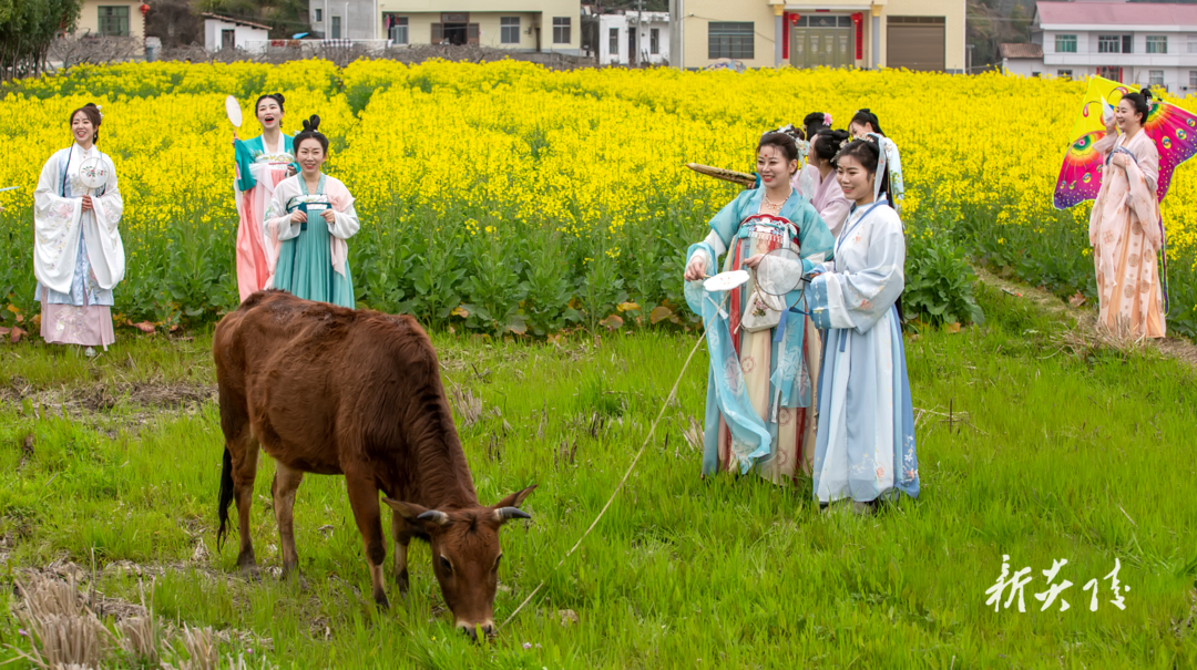 水口镇：水西春光无限好 花开踏青正当时