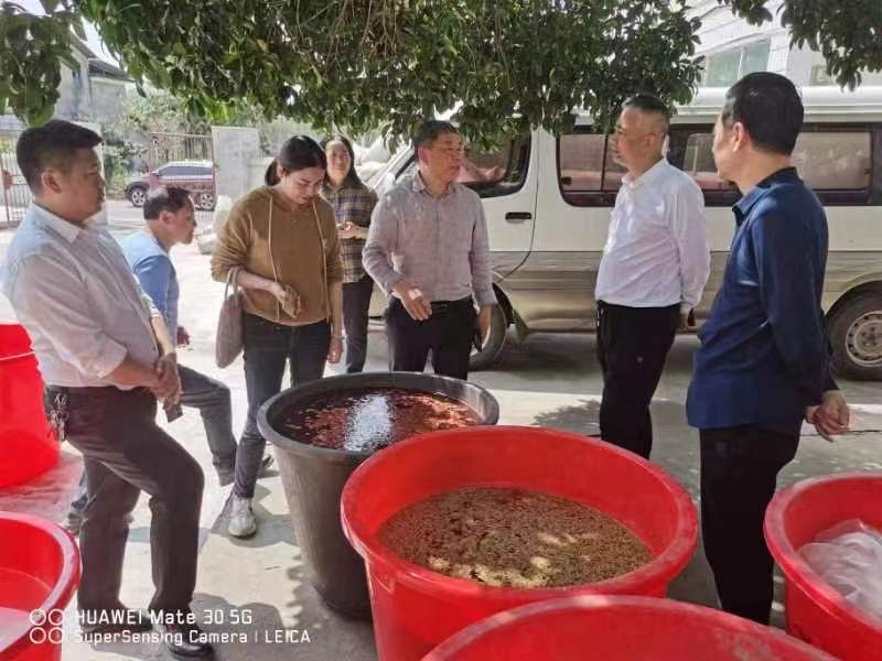市发展改革委开展农口系统项目专题系列调研活动（一）——渌口区