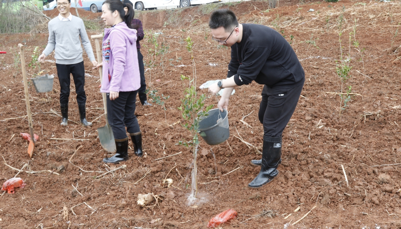 株洲市教育局开展"履行植树义务，共建美丽株洲"义务植树活动