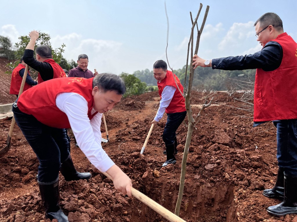 植树添新绿 县领导带头参加全民义务植树活动