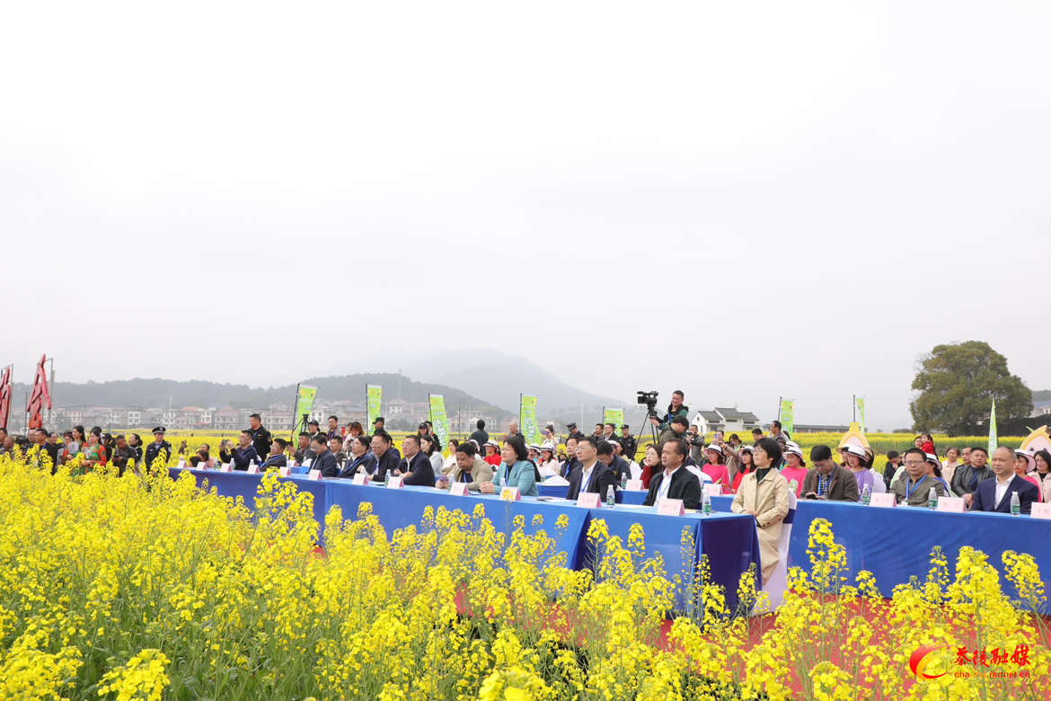 2023湖南油菜花节茶陵分会场暨茶陵县第九届油菜花节开幕