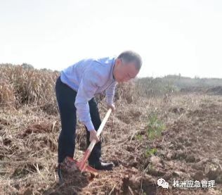 株洲市应急管理局党员开展义务植树活动