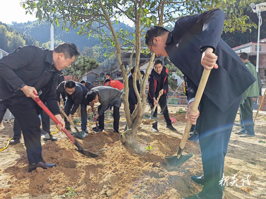 策源乡：唤醒春天 共植一抹绿