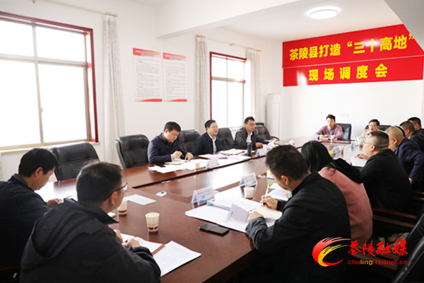杨红兵调度重点项目建设工作