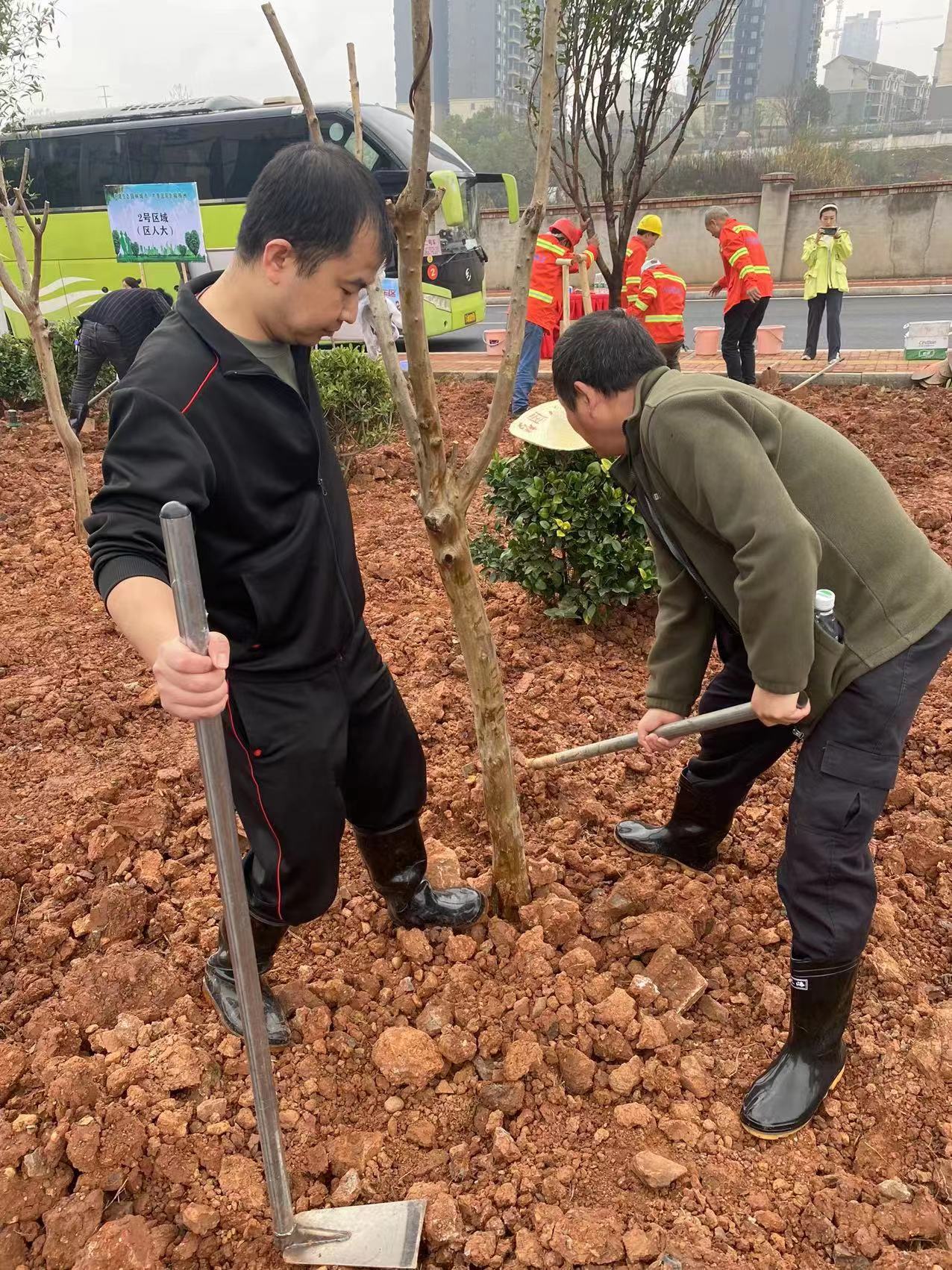 春来添新绿 不负好时光  区机关事务服务中心参加植树节活动