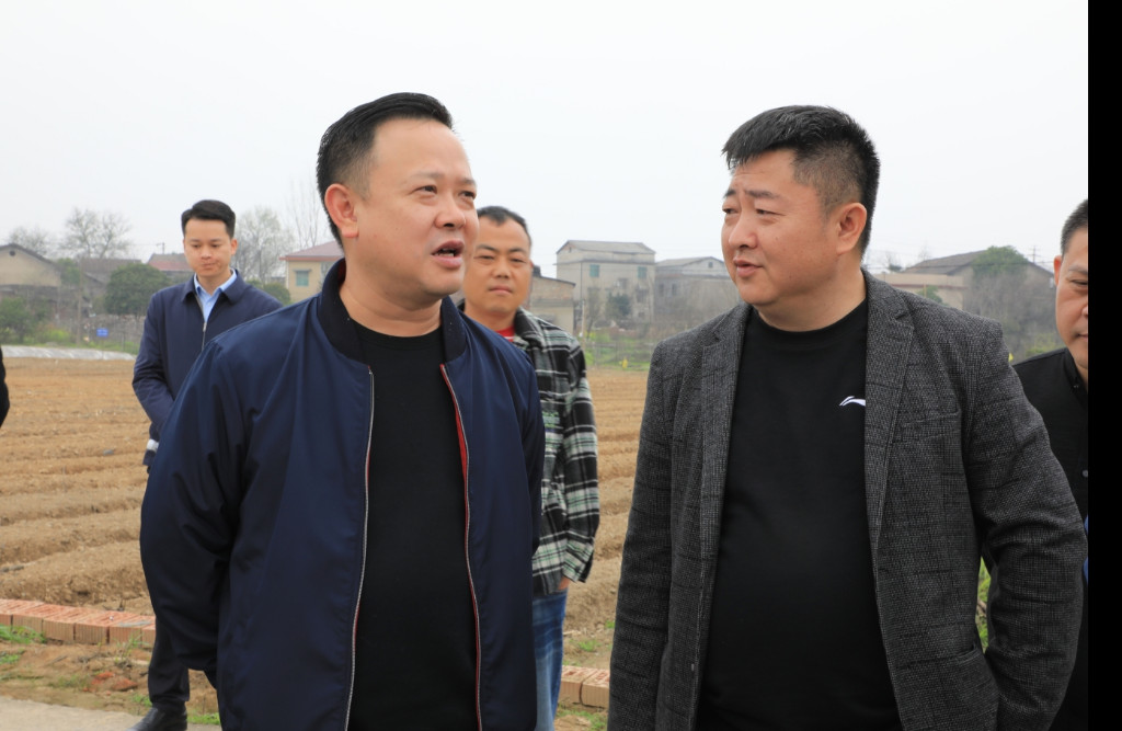 李晓彤到渌口镇调研近期重点工作