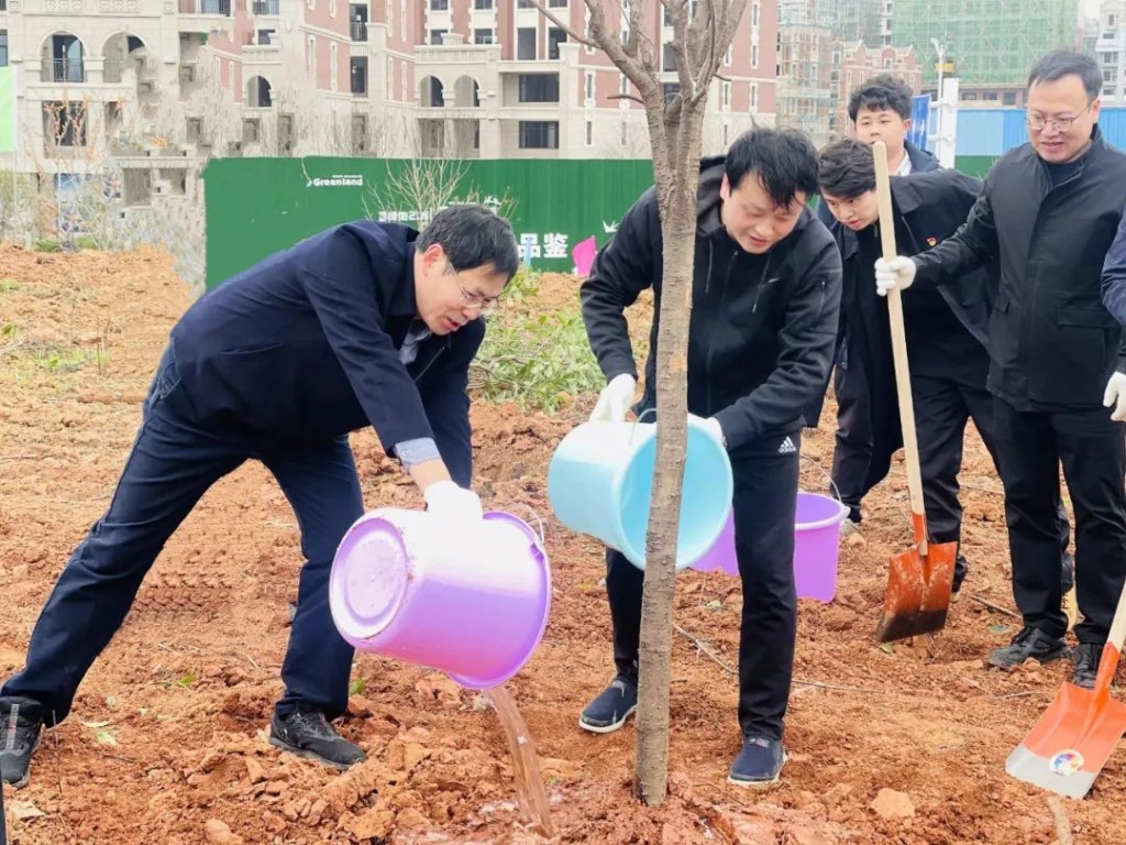 “植”此青绿 合力共建“同心林”