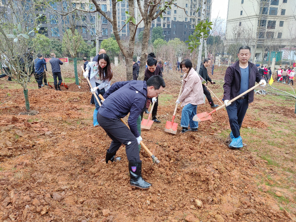 履行植树义务，共建美丽株洲——市政府金融办开展义务植树活动