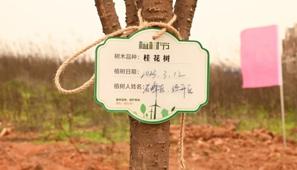 “植”此青绿 合力共建“同心林”