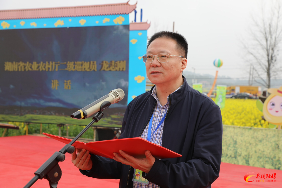 2023湖南油菜花节茶陵分会场暨茶陵县第九届油菜花节开幕