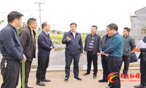 杨红兵到马江镇调研督导工作