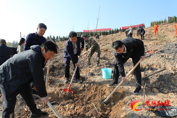 茶陵:植树添新绿 共建美丽家园