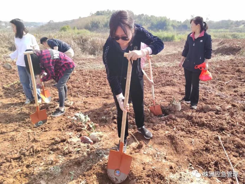 株洲市应急管理局党员开展义务植树活动