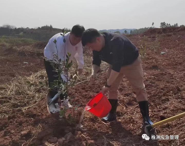 株洲市应急管理局党员开展义务植树活动