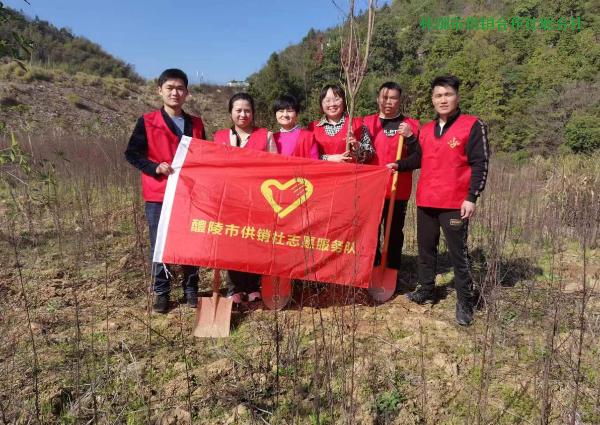 春风催新绿，植树正当时