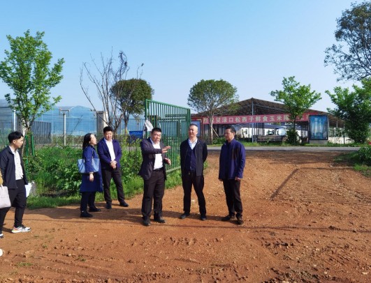 市发展改革委开展农口系统项目专题系列调研活动（一）——渌口区
