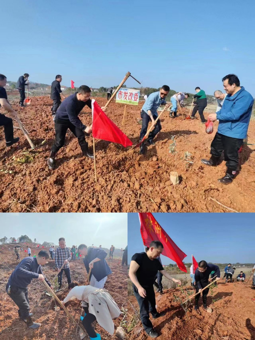 履行植树义务 共建美丽株洲----市发改委开展2023年义务植树活动