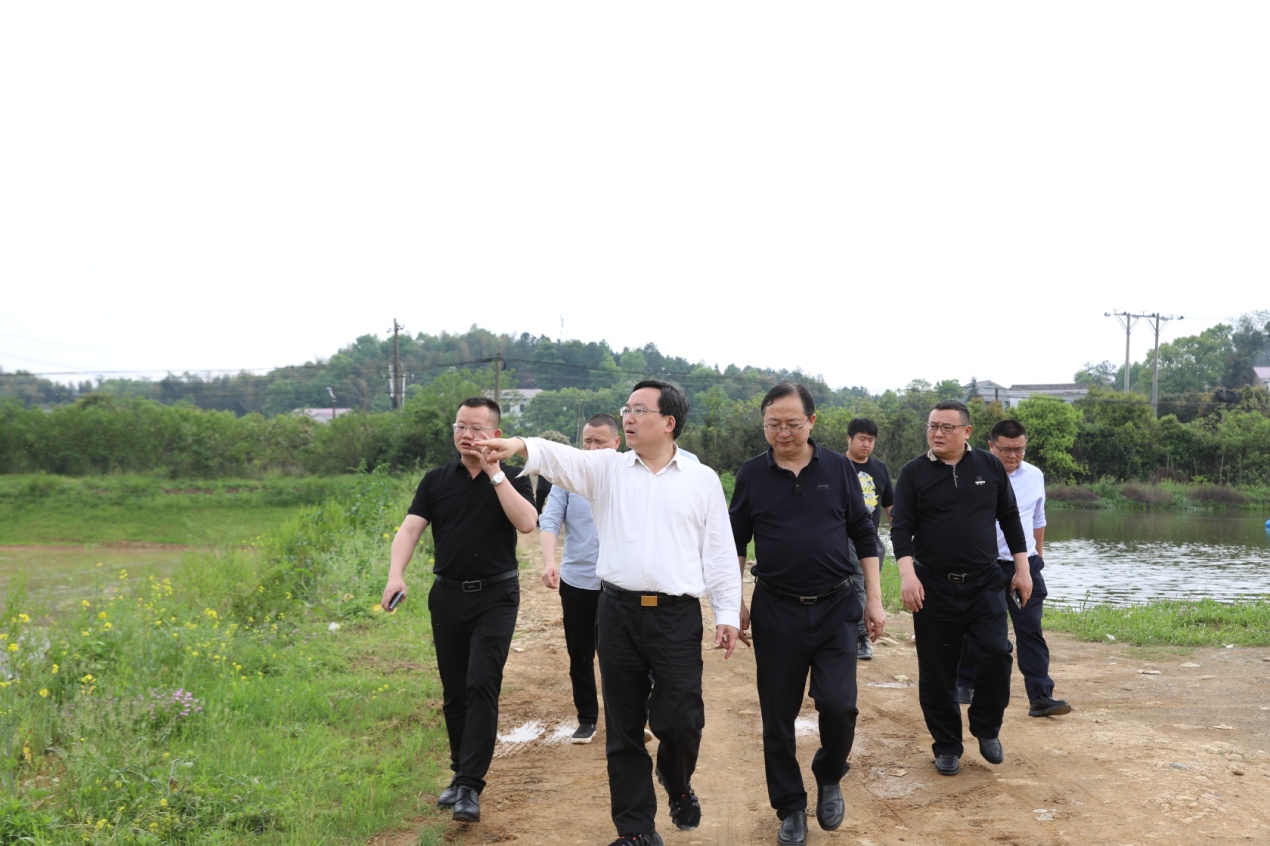 认清形势 铁腕治理 坚决打好整治"两违"问题和加强耕地保护攻坚战