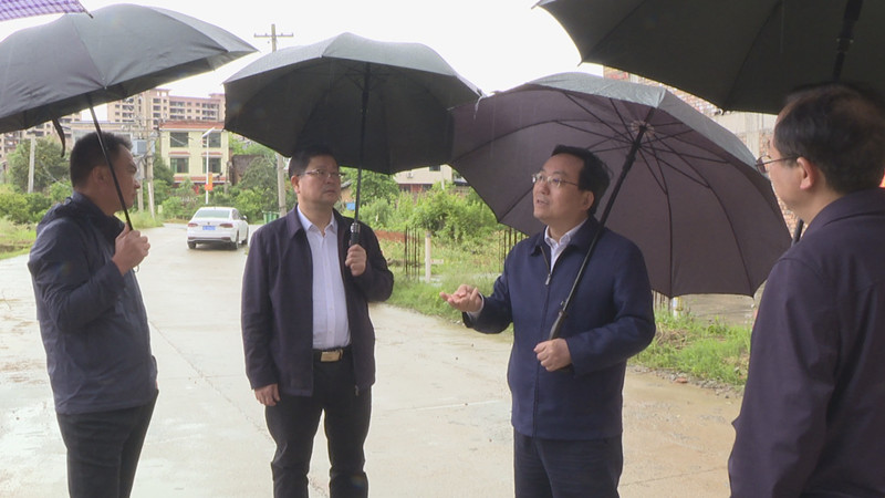 副市长罗绍昀带队督导违法用地整改并开展巡田工作