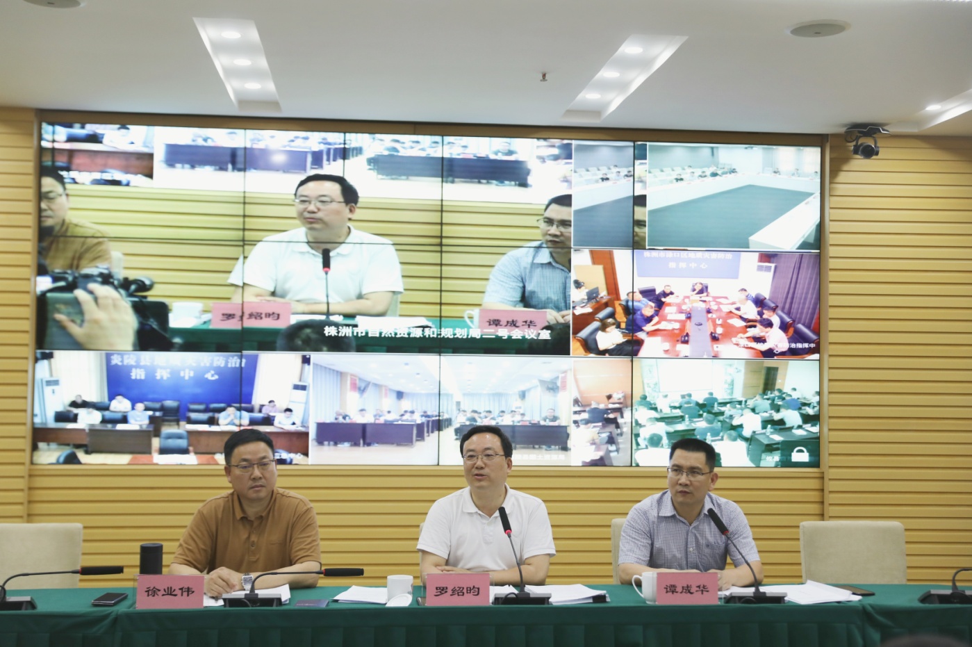 株洲市召开耕地保护和两违问题整治工作推进会议