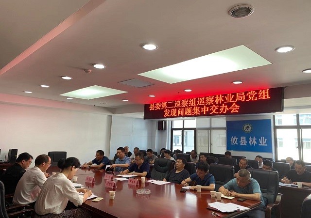 县委第二巡察组对巡察林业局党组发现的问题进行集中交办