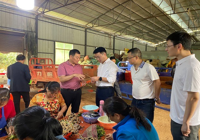 株洲市林业局党组书记、局长林涛一行来攸考察调研林业重点工作