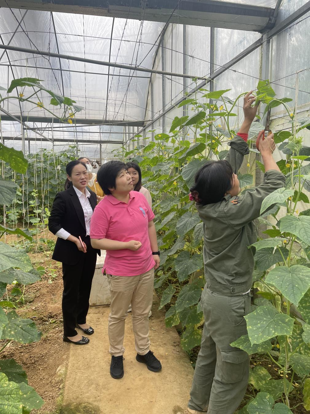 【作风建设年】 大兴调查研究之风 天元青年“踏泥”入局