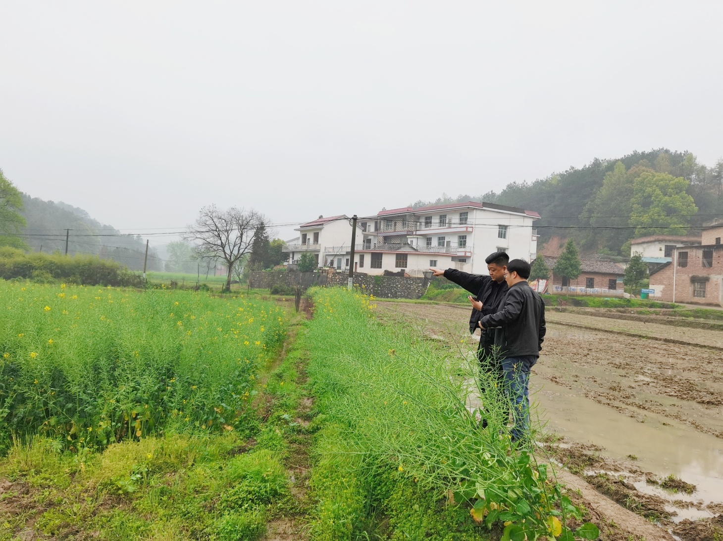 人防 技防 筑牢耕地保护红线