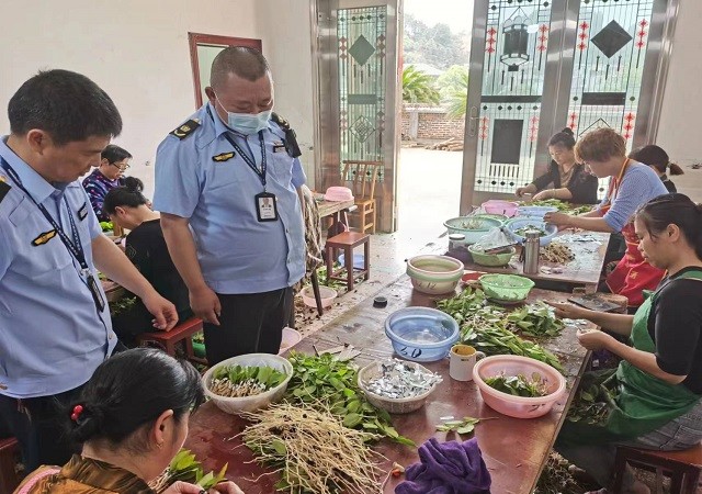 执法普法两手抓，助力攸县油茶高质量发展