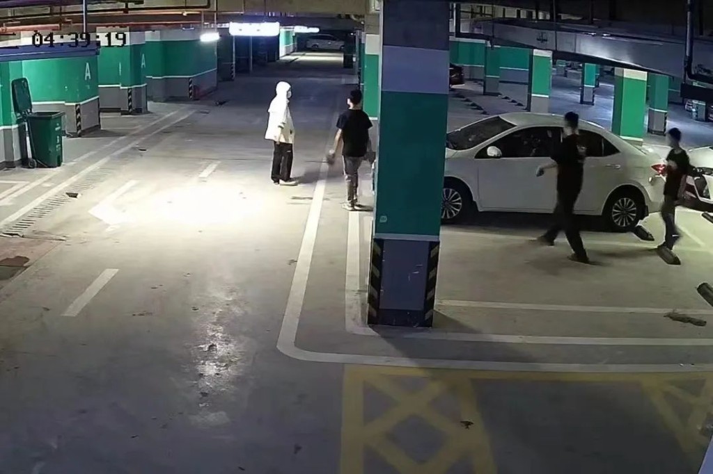 【作风建设年】打击篇：春联派出所打掉一“拉车门”盗窃团伙，5人被抓！