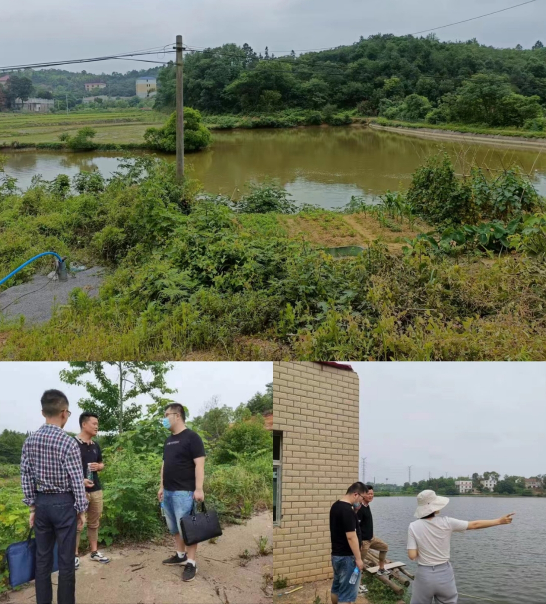 我眼中的美丽乡村——天元区青训营第三期之田野调查