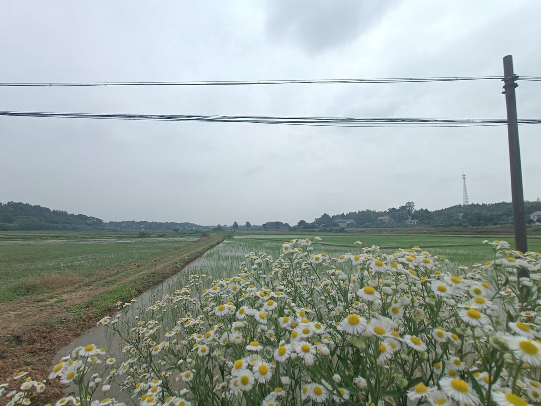 我眼中的美丽乡村——天元区青训营第三期之田野调查