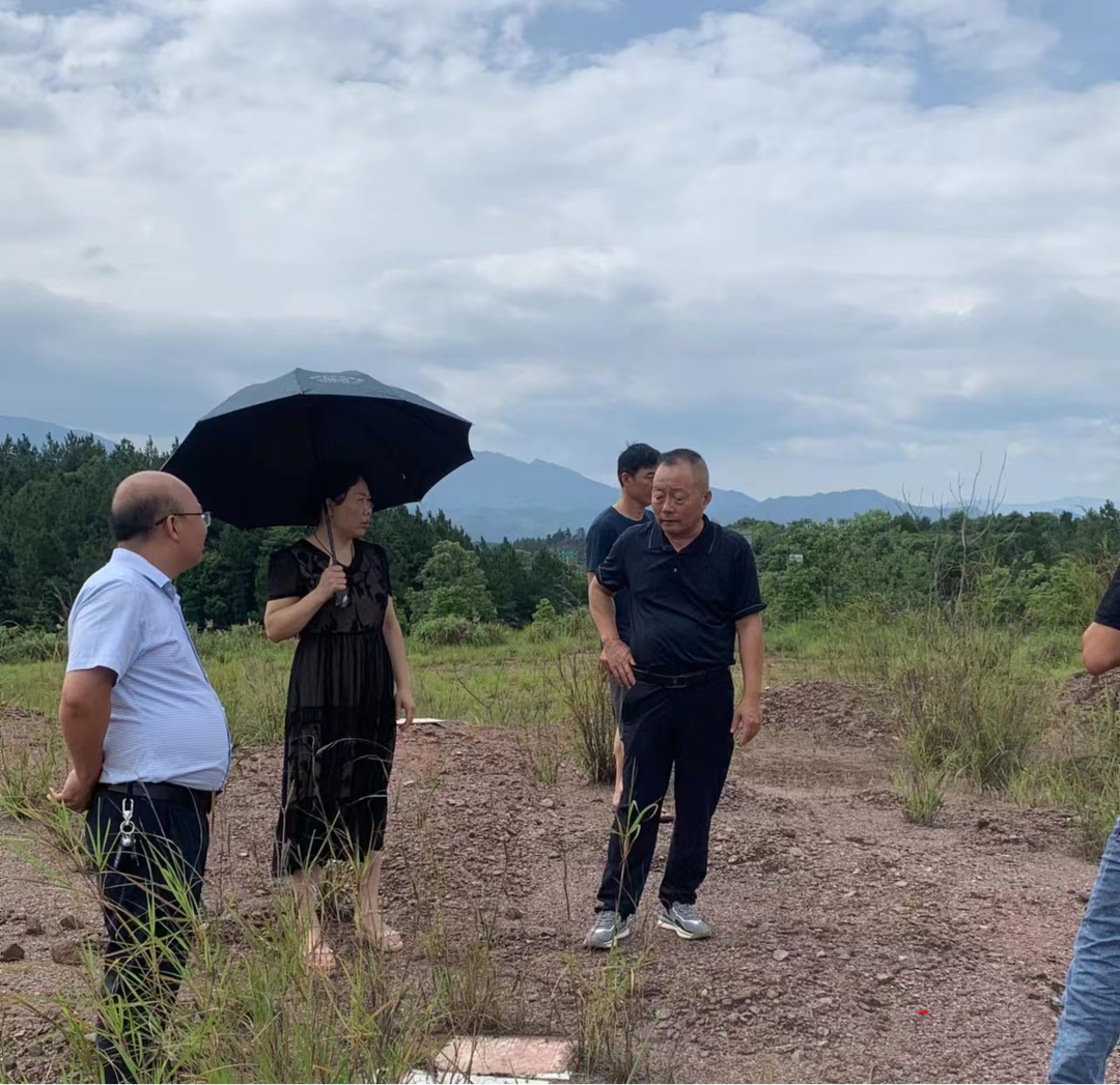 春联街道：持续优化营商环境 全力解决企业用地难题