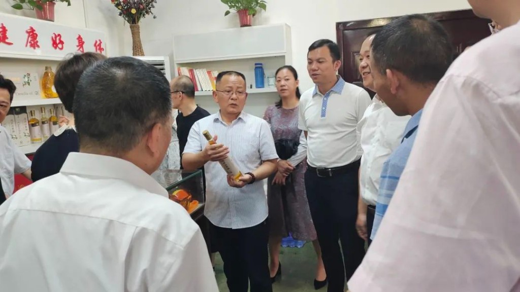 渌口区6月乡镇人大工作调研交流会在南洲镇举行