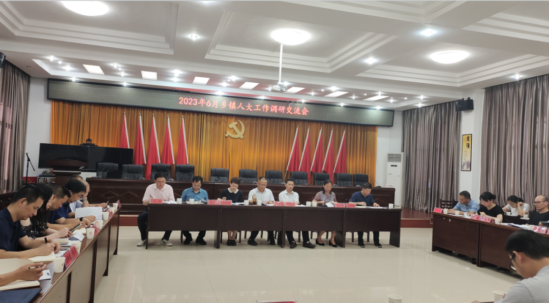 渌口区6月乡镇人大工作调研交流会在南洲镇举行