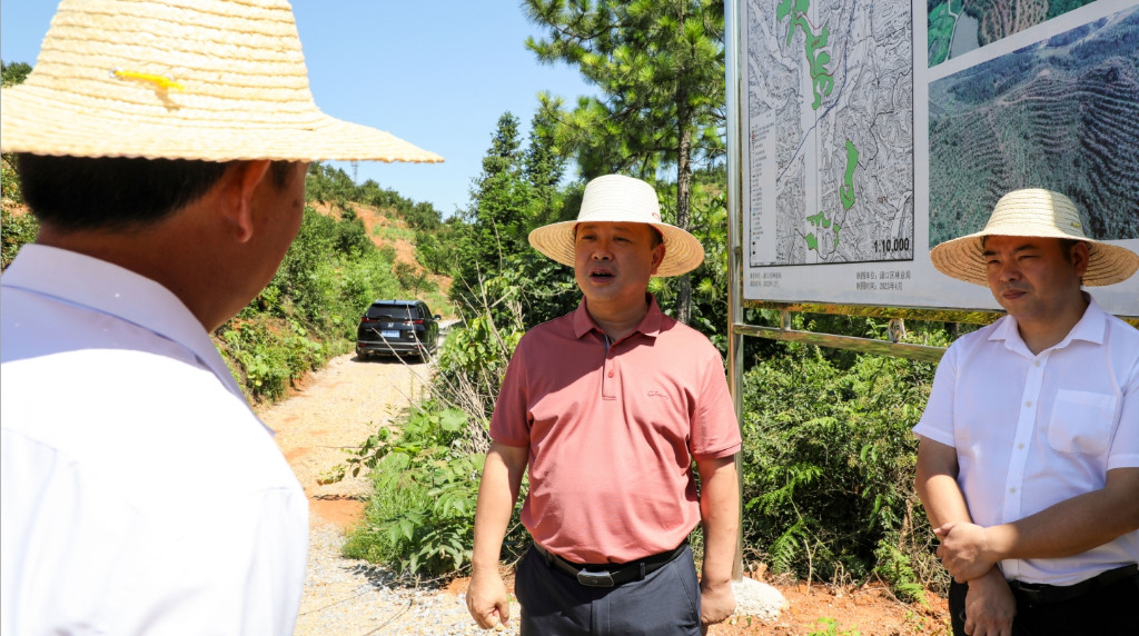 李晓彤到朱亭镇调研小微企业