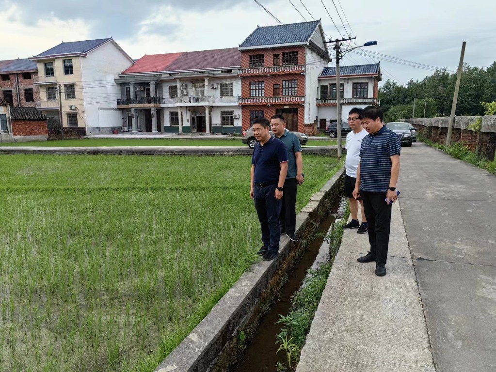 县委常委、副县长彭爱斌开展巡田活动