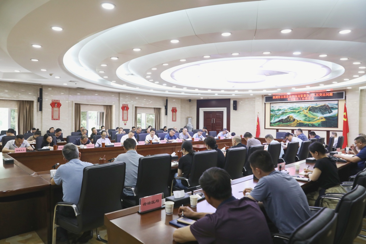 全市自然资源和规划督察执法队伍突出问题专项整治工作推进会召开