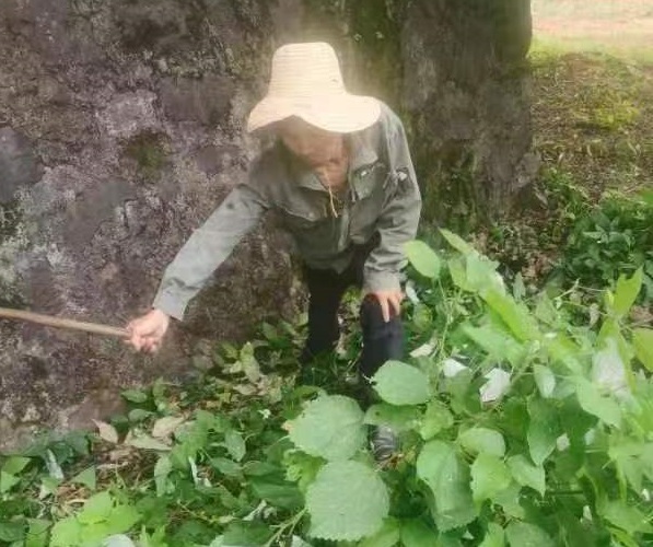 喜报！攸县水利局王良仔获评"攸县劳动模范"