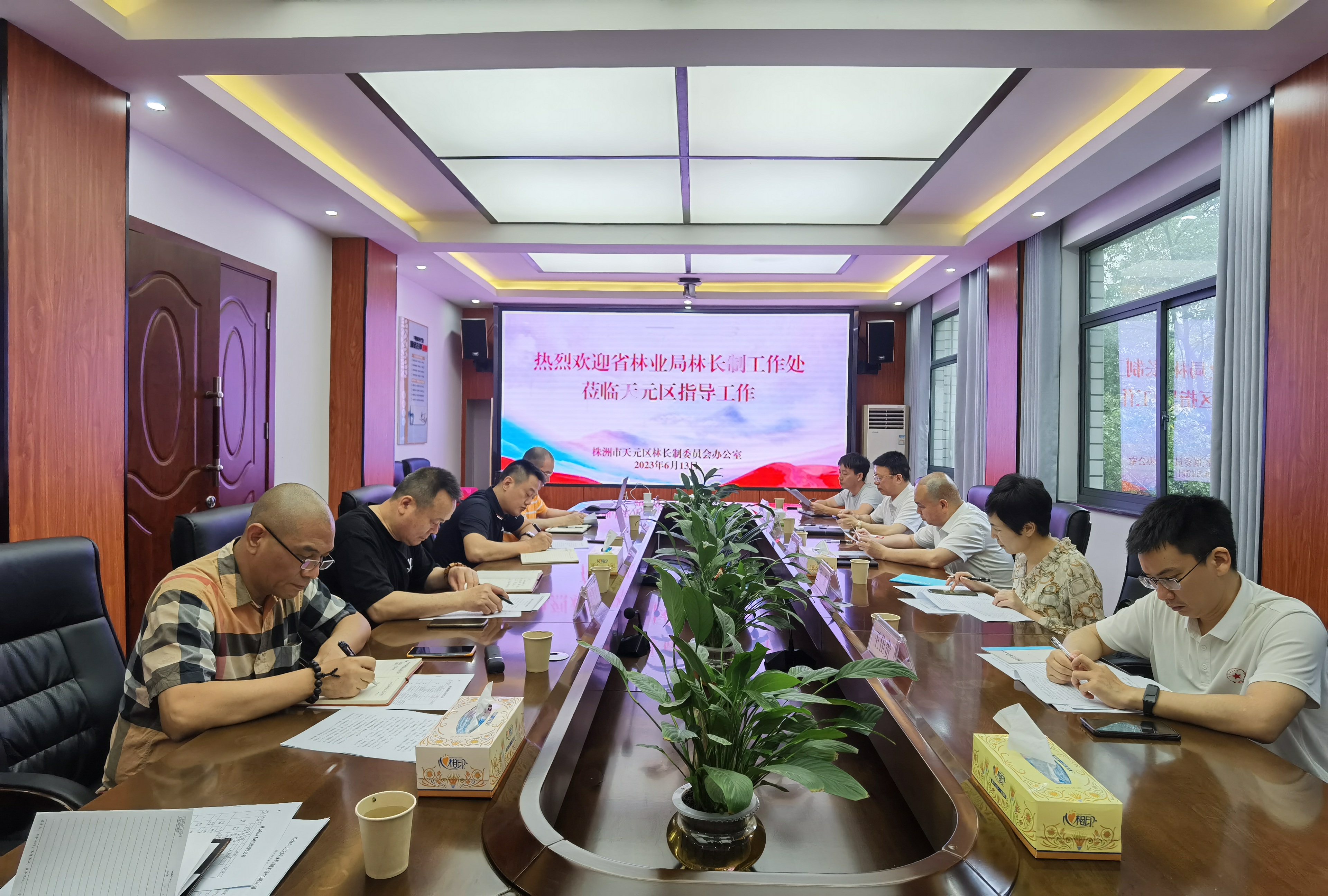 省林业局林长处在株洲市天元区调研 林长制工作
