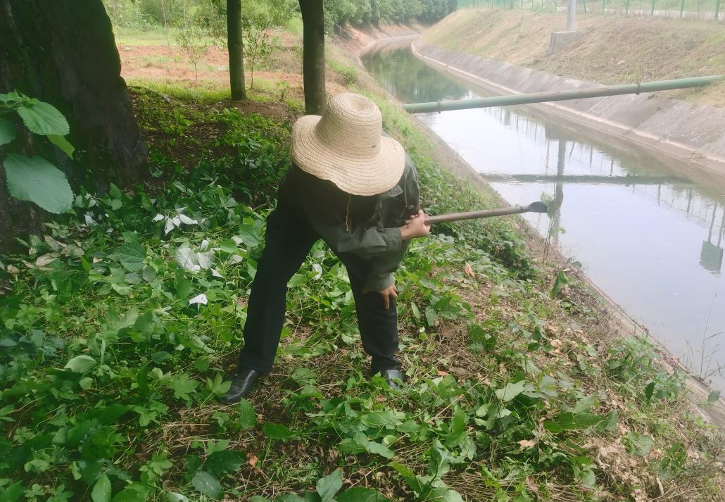 喜报！攸县水利局王良仔获评"攸县劳动模范"