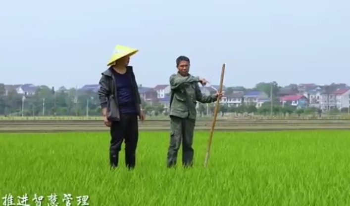 喜报！攸县水利局王良仔获评"攸县劳动模范"