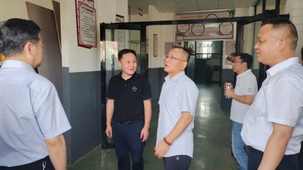 渌口区6月乡镇人大工作调研交流会在南洲镇举行