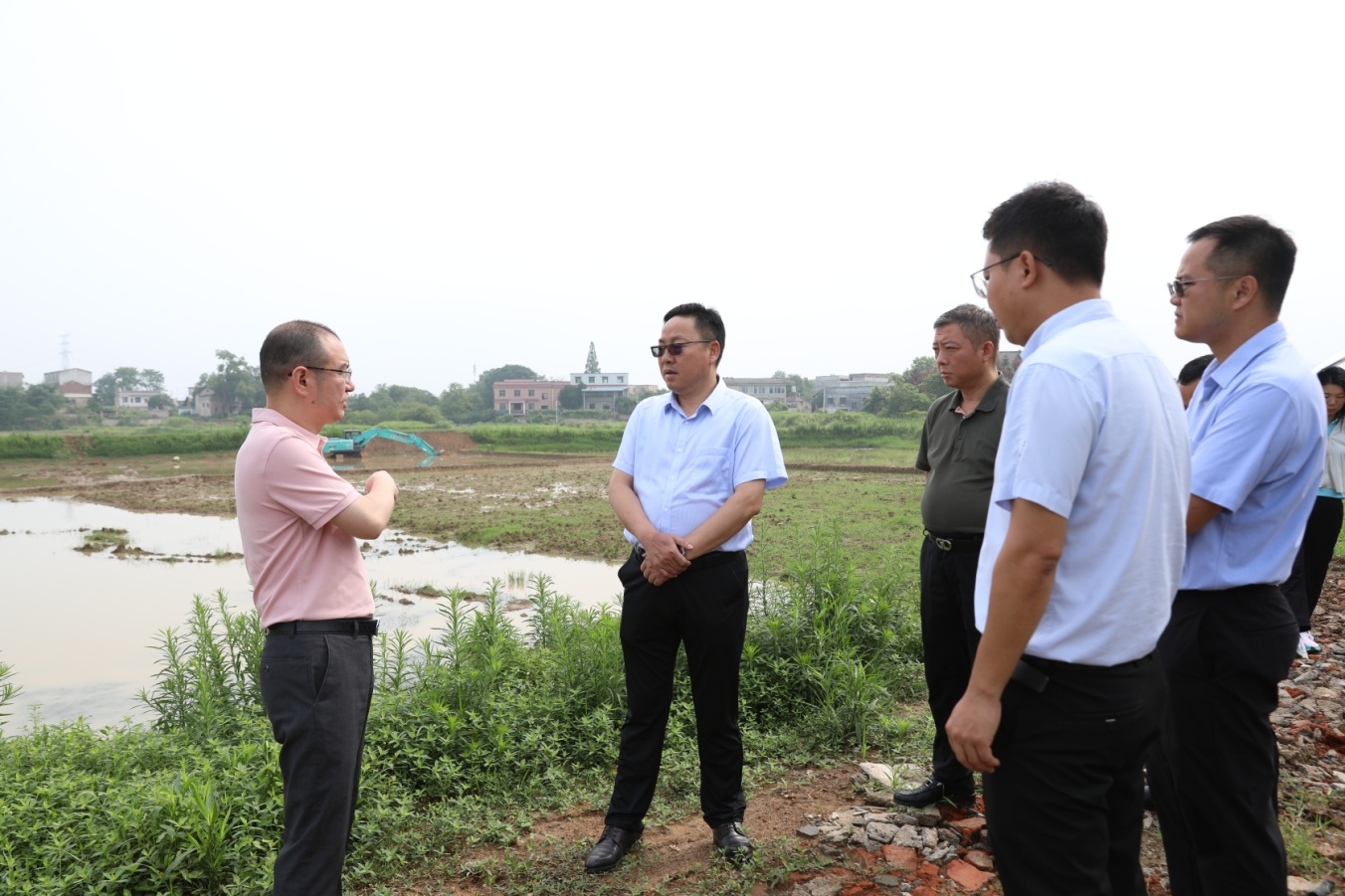 徐业伟调研耕地恢复和"两违"问题整治工作
