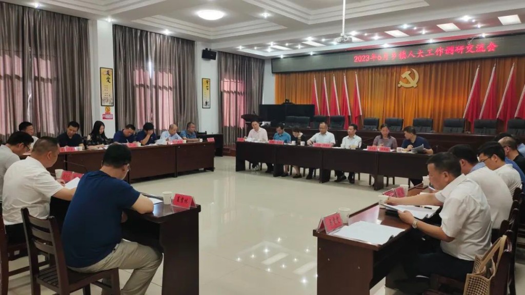 渌口区6月乡镇人大工作调研交流会在南洲镇举行