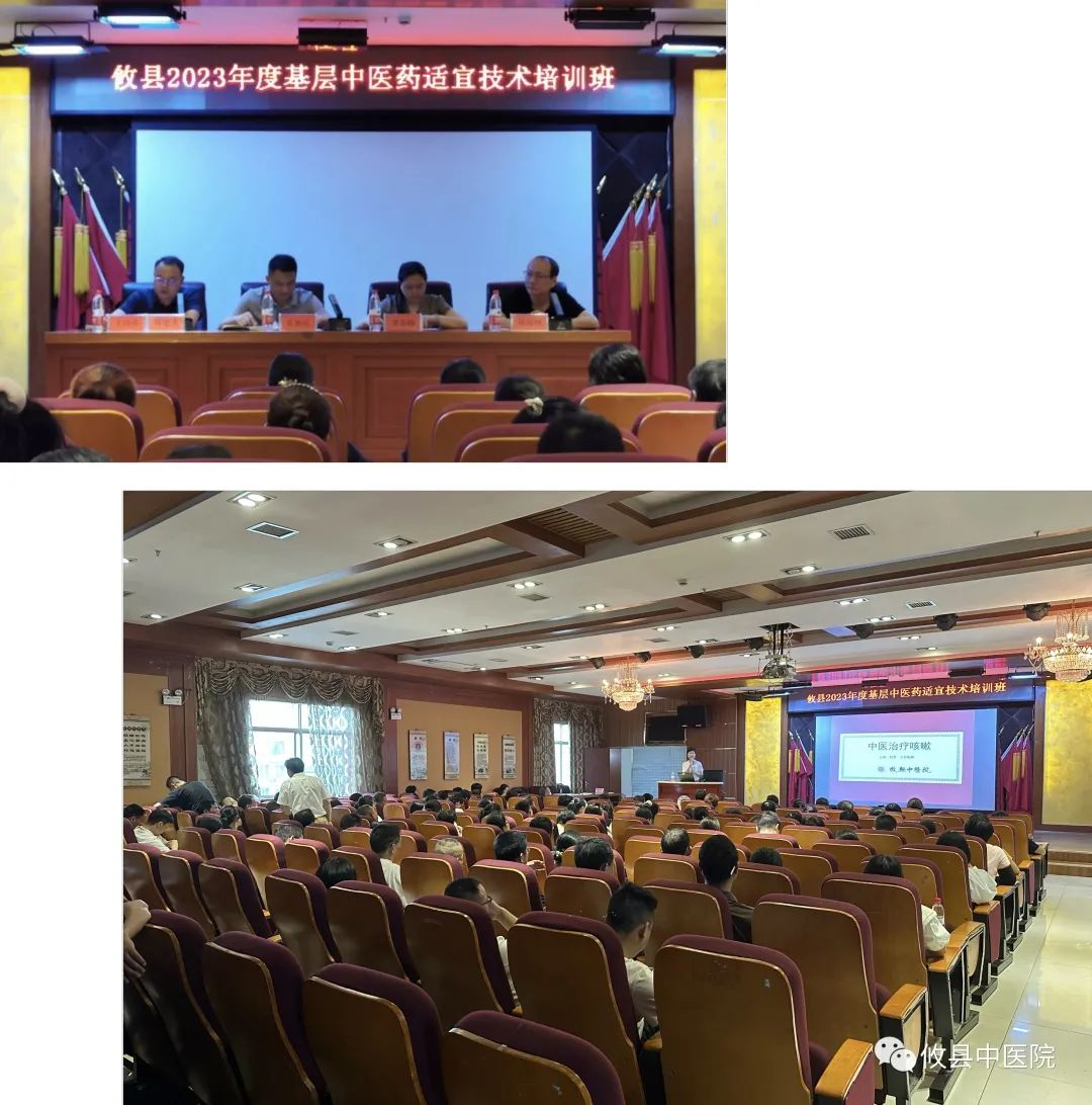 【重点民生保障仗】攸县：强化中医技术 发挥中医特色